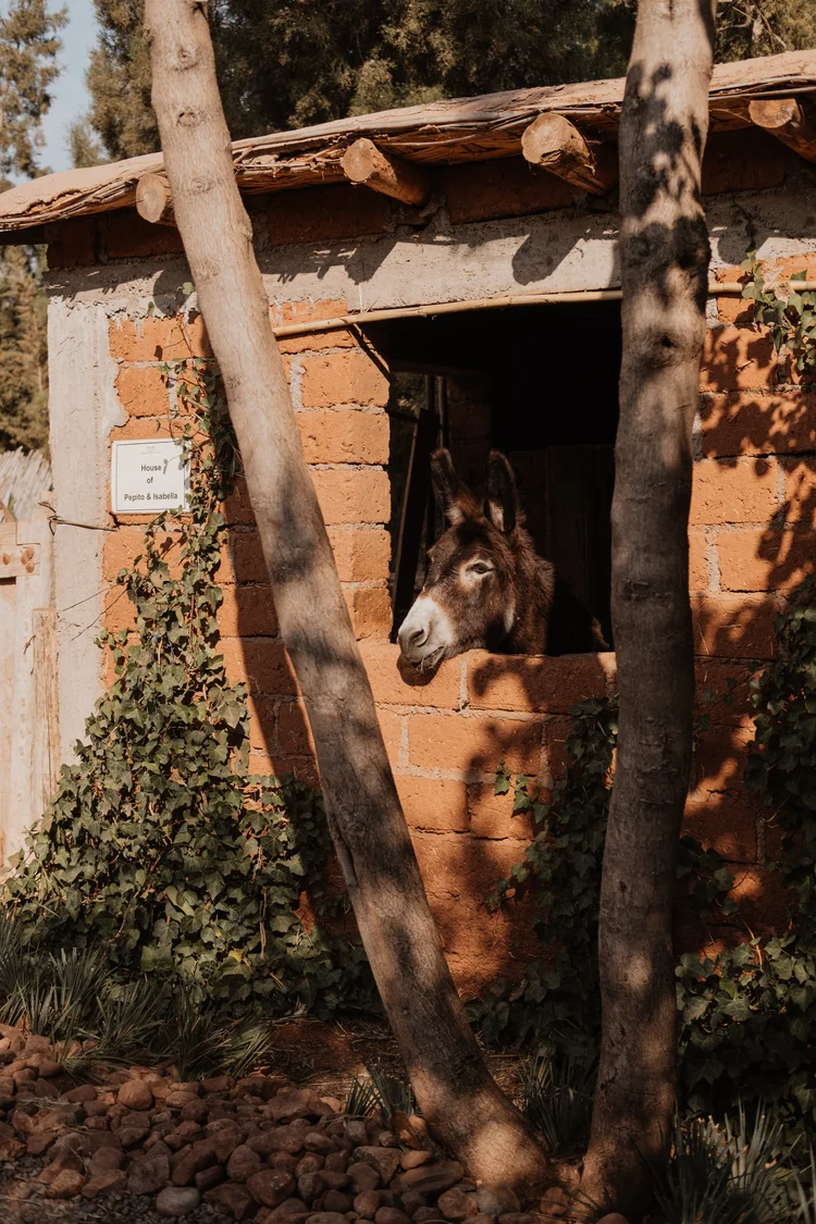 Kasbah Bab Ourika — Materia, sombra y hospitalidad