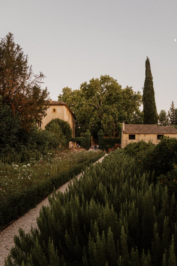 Provence, Summer 2023, imagen 2